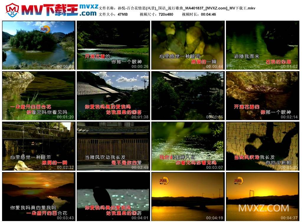 孙悦-百合花情思(风景)_国语_流行歌曲_MA401837